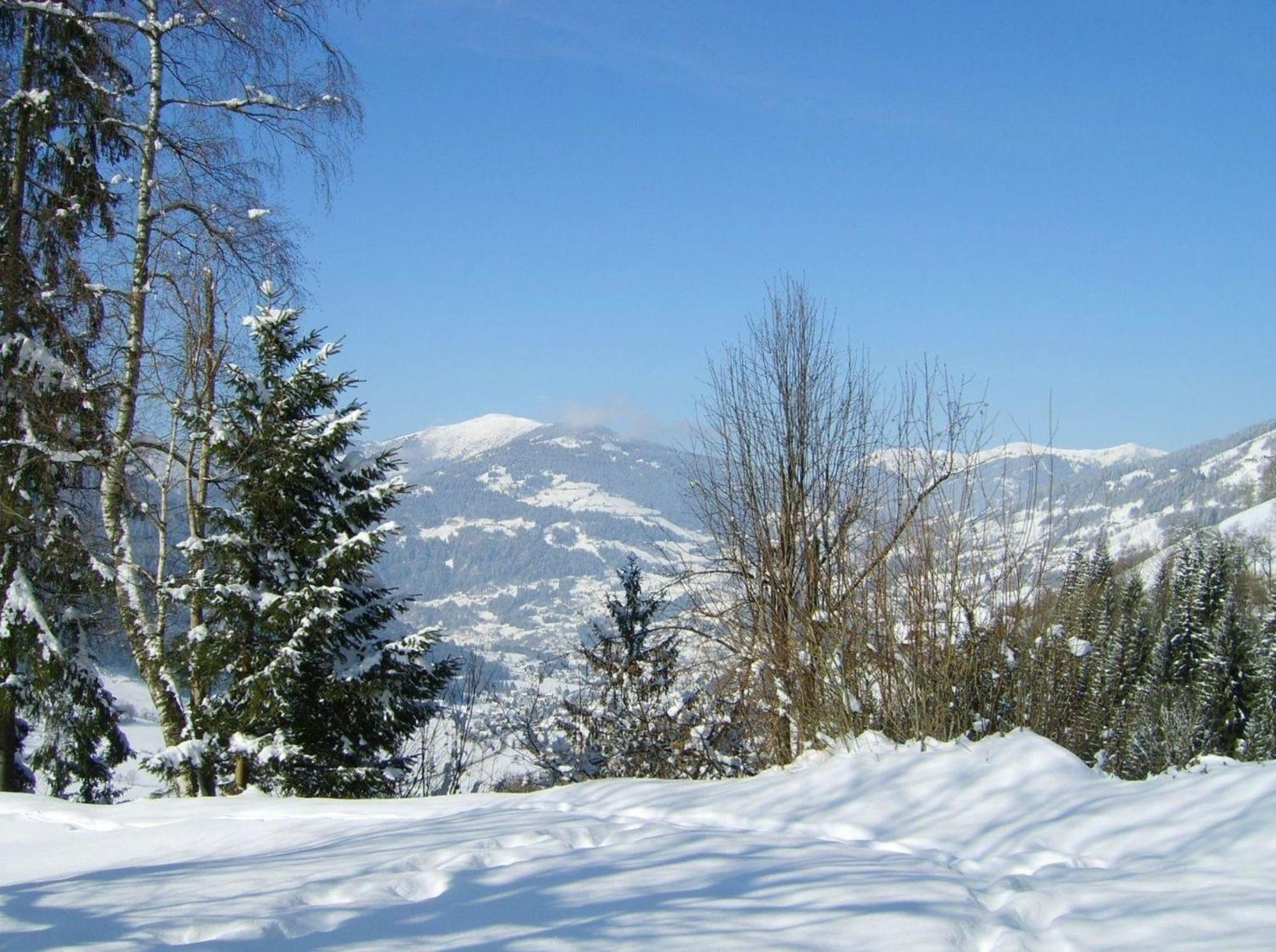 Ruhige Ferienwohnung In Feld Am See Bagian luar foto