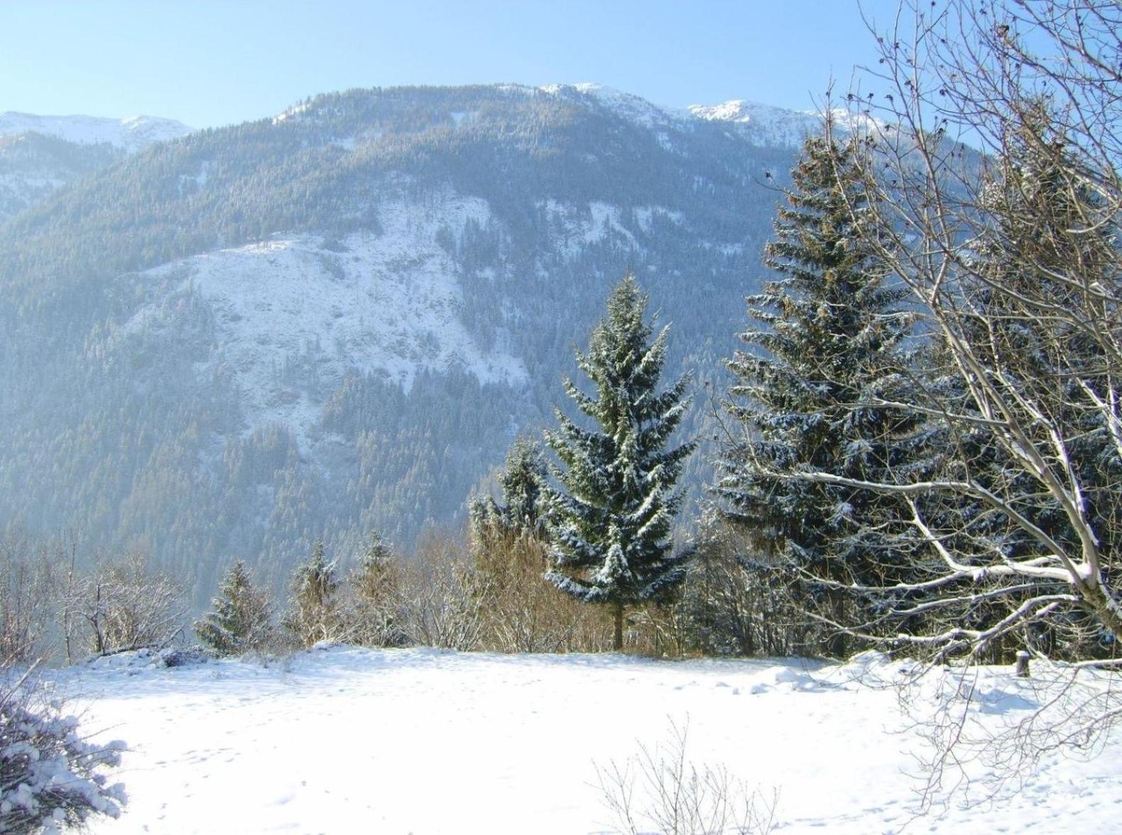 Ruhige Ferienwohnung In Feld Am See Bagian luar foto