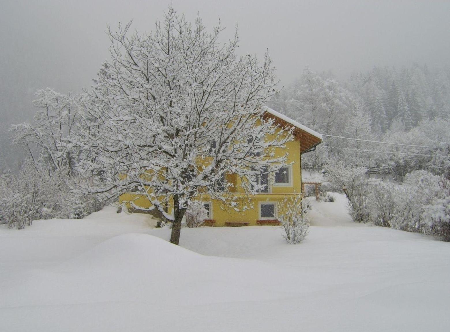 Ruhige Ferienwohnung In Feld Am See Bagian luar foto